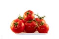 Fresh organic tomatoes